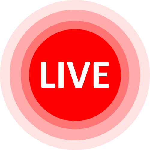 Webcam Analdildo